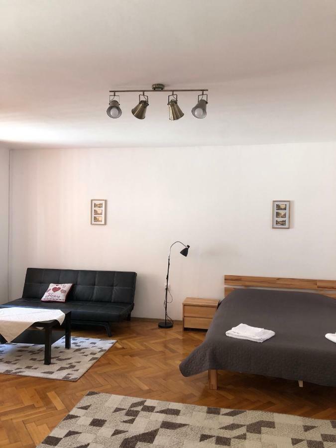 Pe Tocile Apartment ブラショフ エクステリア 写真